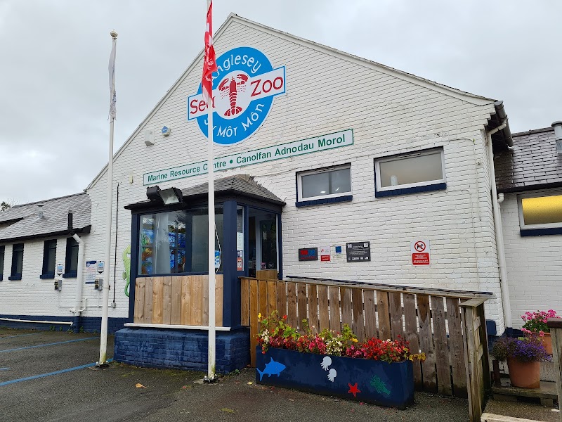 Anglesey Sea Zoo and Marine Resource Centre photo 2