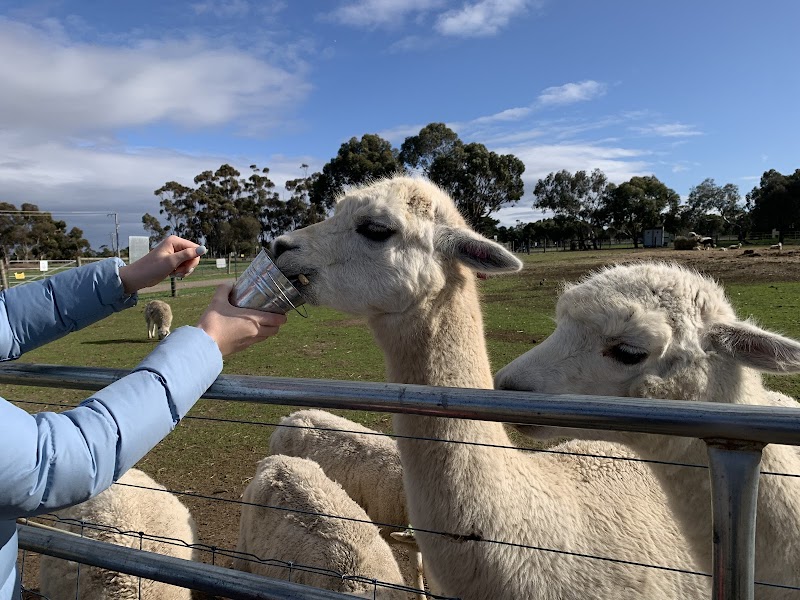 Animal Land Children's Farm photo 2
