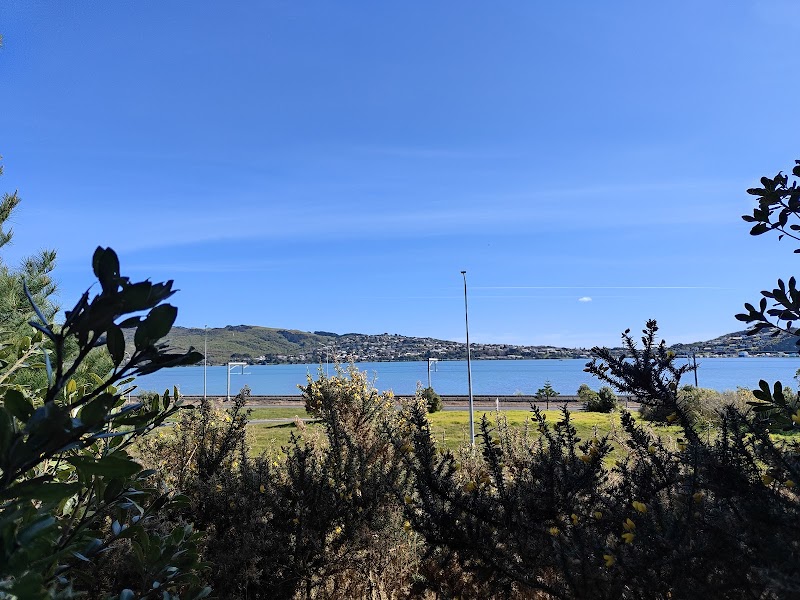 Aotea Lagoon Playground