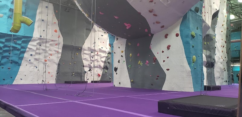 Ape Index Rock Climbing Gym photo 2
