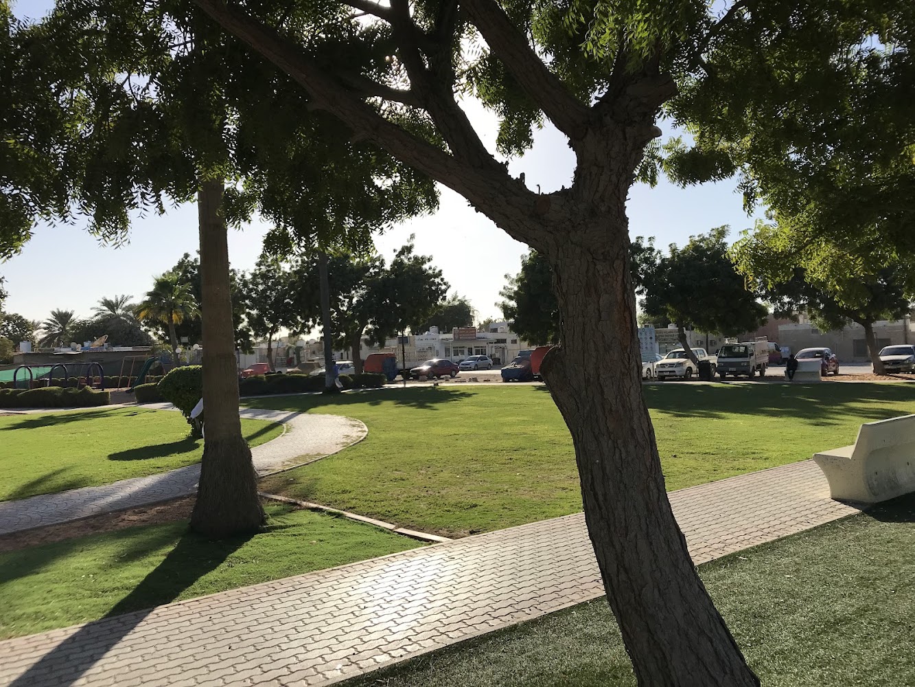 Apple Park photo 3