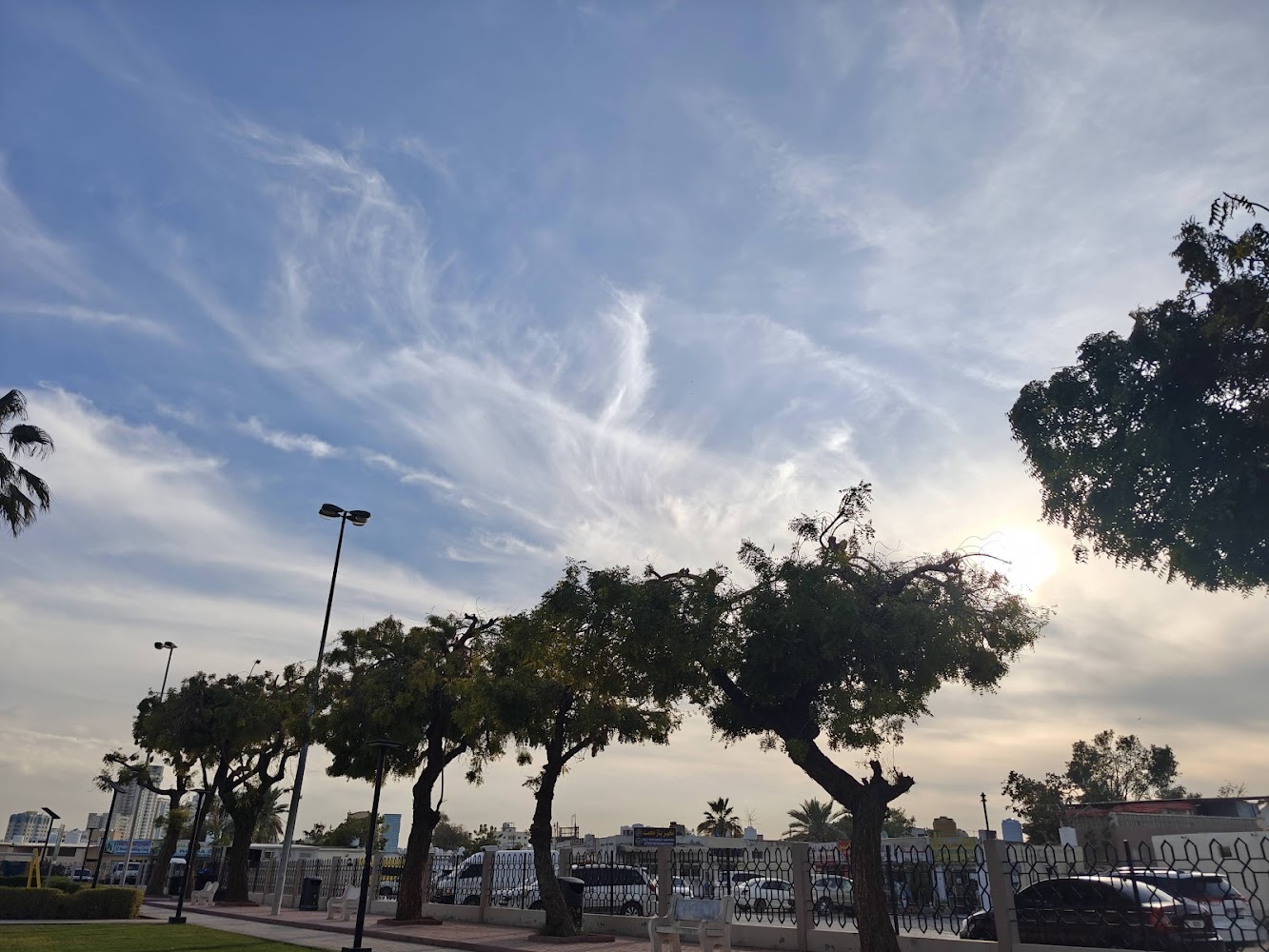 Apple Park photo 4