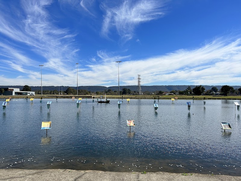 Aqua Golf