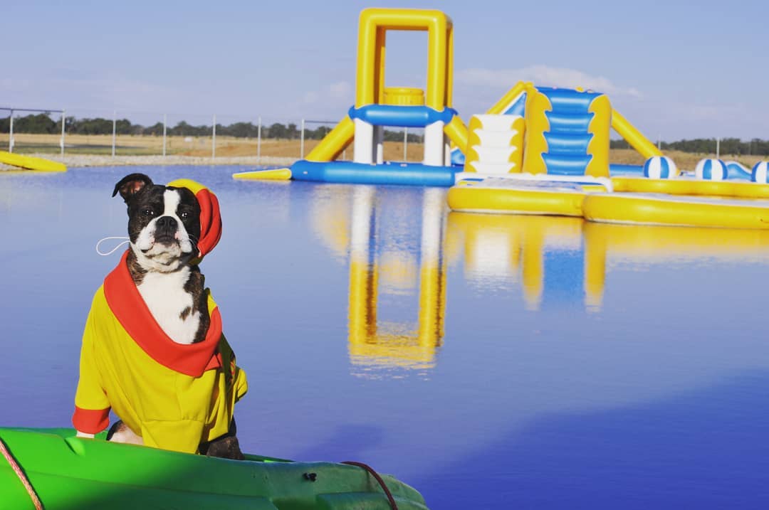 Aqua Island photo 2