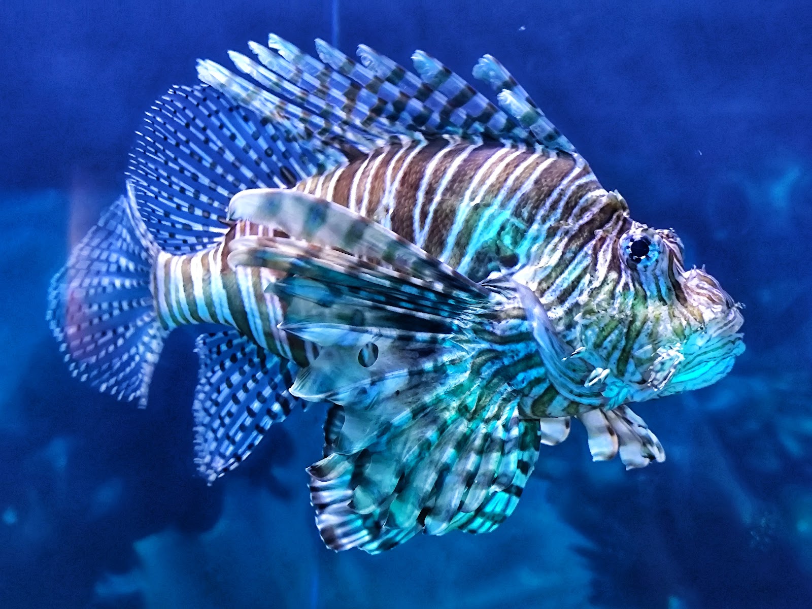 Aquaria KLCC photo 2