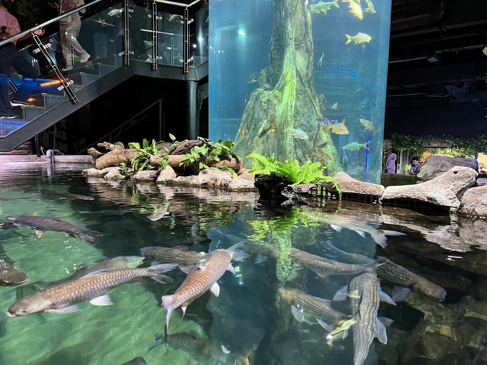 Aquaria KLCC photo 3