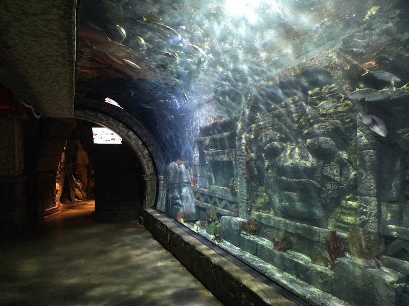 Aquarium photo 3