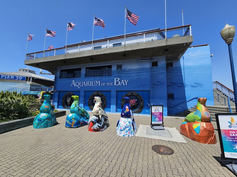 Aquarium of the Bay photo 2