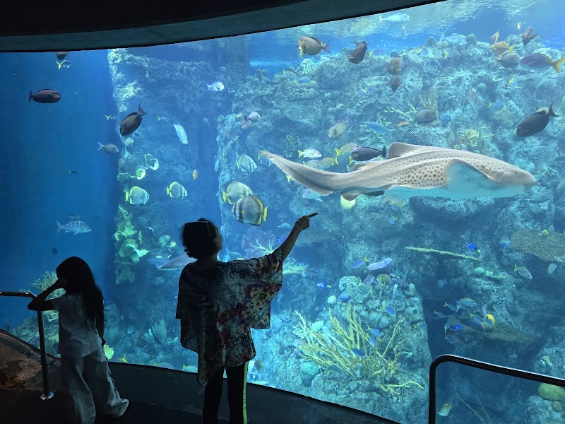 Aquarium of the Pacific photo 2