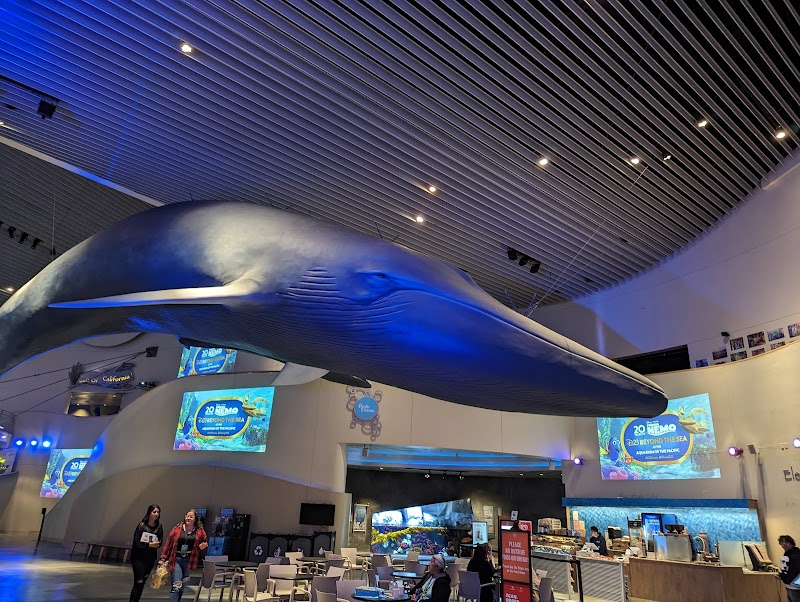 Aquarium of the Pacific photo 3