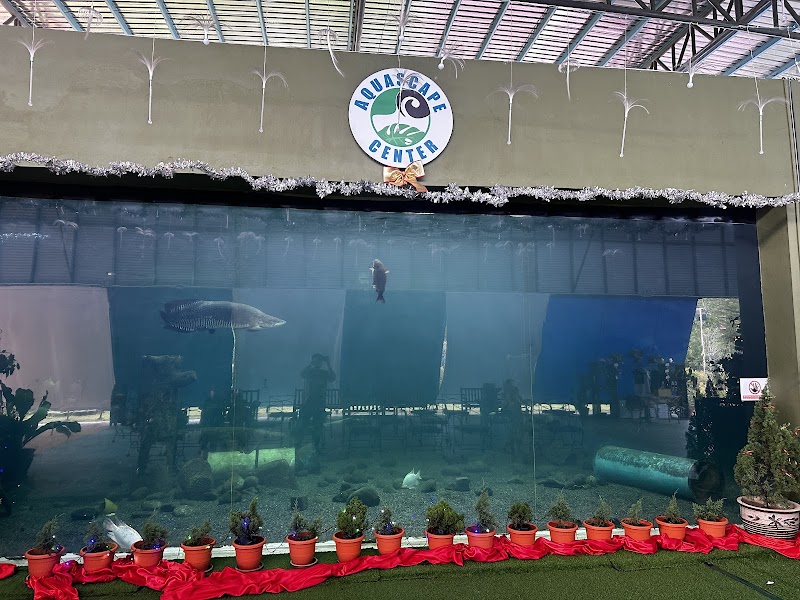 Aquascape Center KK