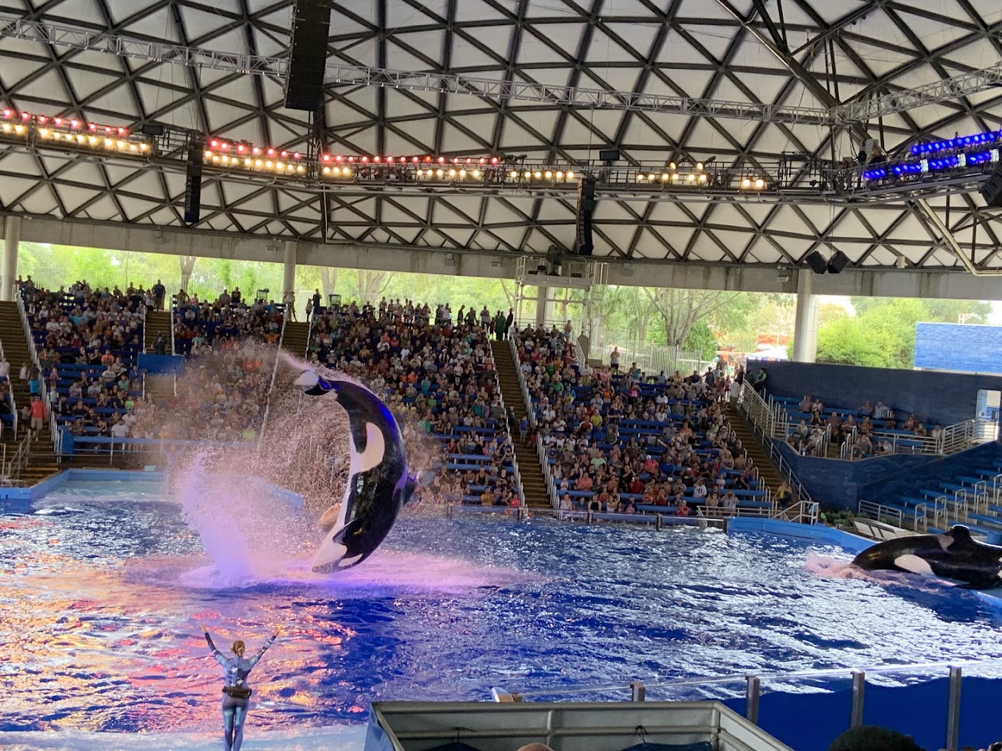 Aquatica San Antonio photo 3