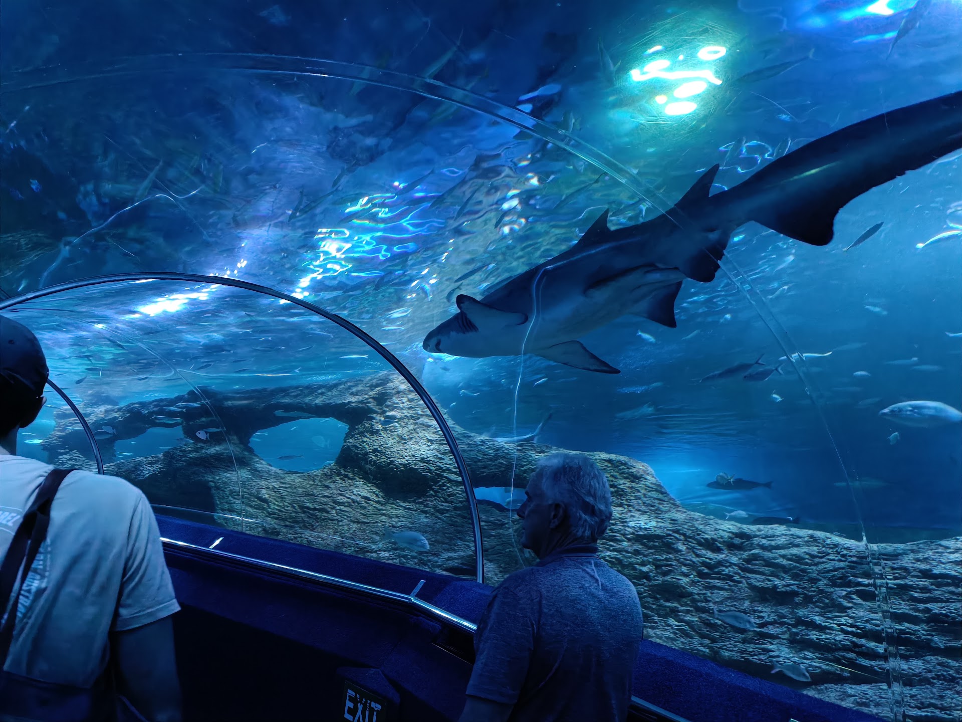 AQWA The Aquarium Of Western Australia photo 2