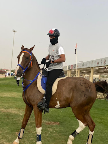 Arabian Star Stables