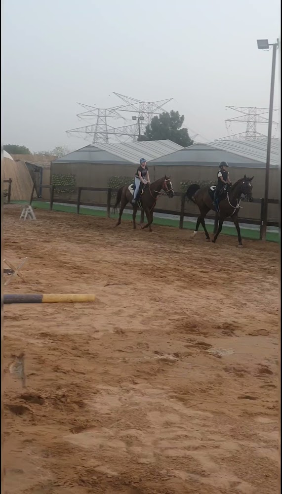 Arabian Star Stables photo 3