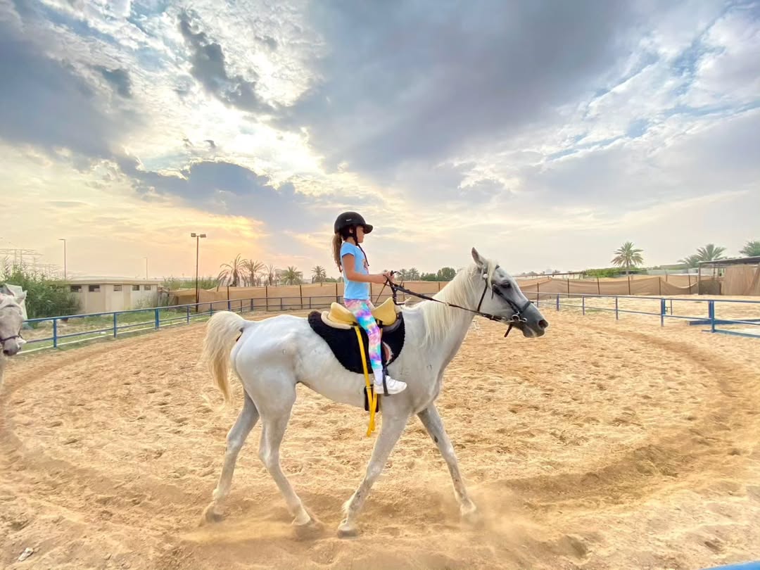 Arabian Star Stables photo 5