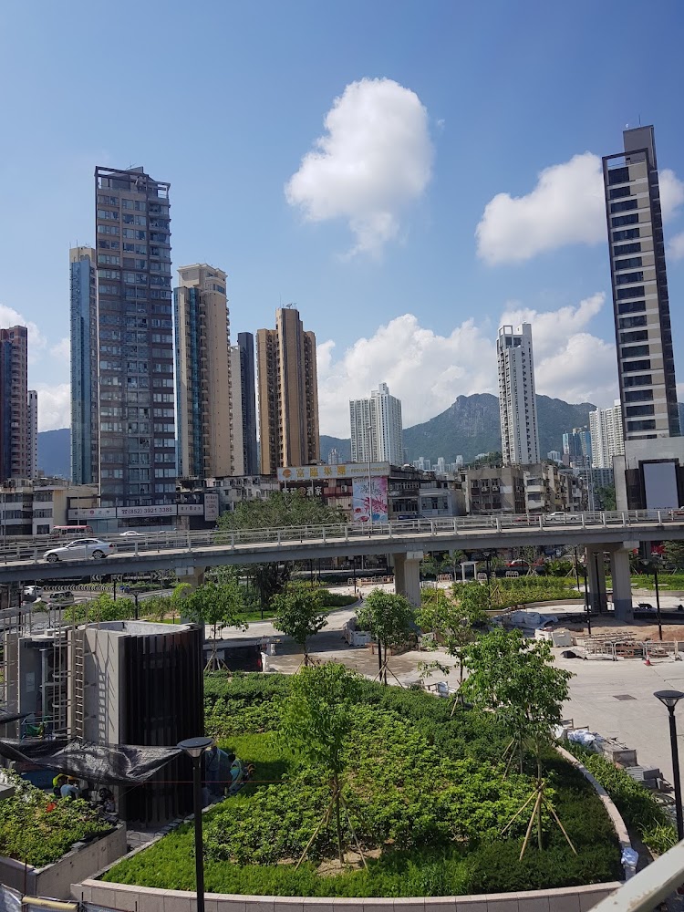 Argyle Street Playground photo 5