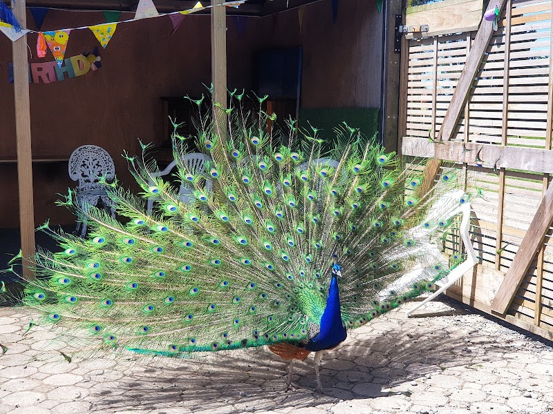 Arion Farm Education Park