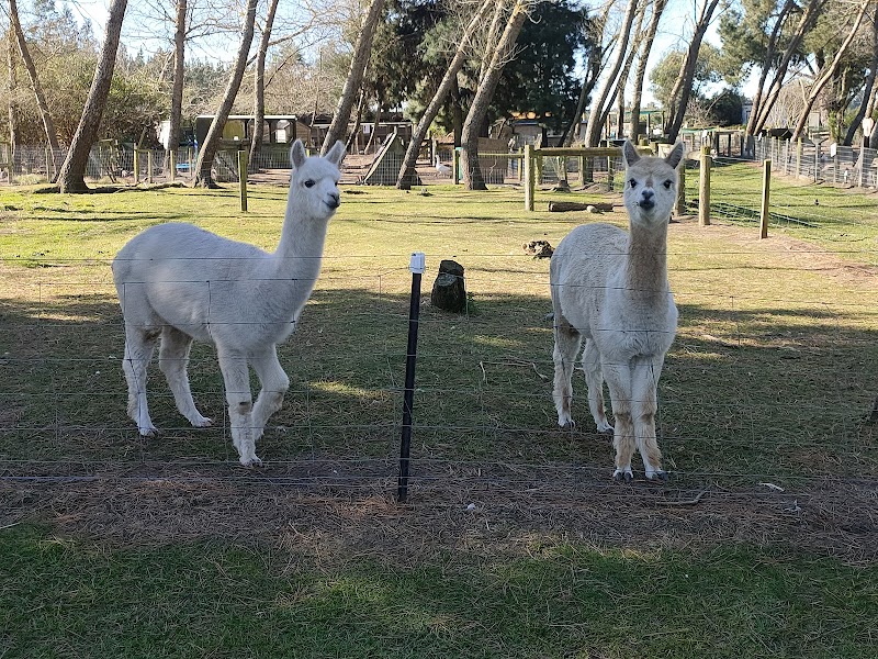 Arion Farm Education Park photo 2