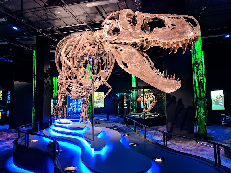 Arizona Science Center photo 2