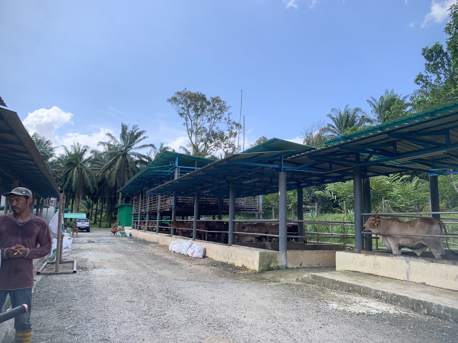 Arrayyan Farm