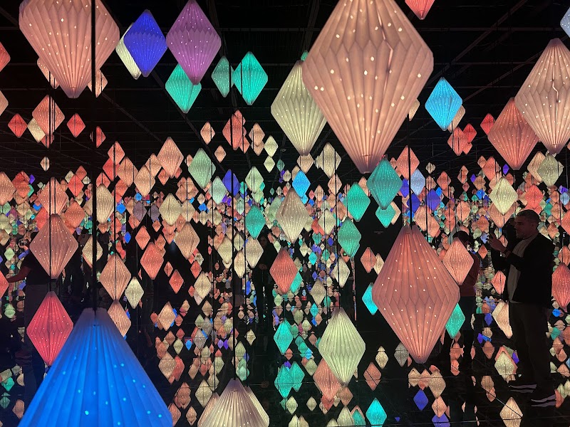 Arte Museum New York