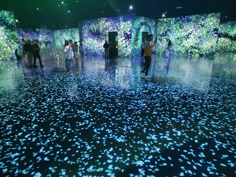 Arte Museum New York photo 2