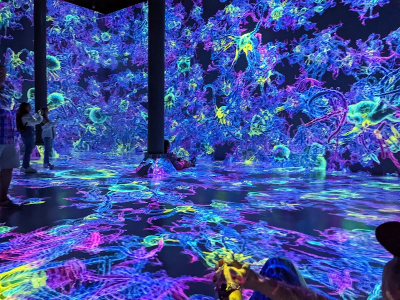 ARTECHOUSE NYC photo 3