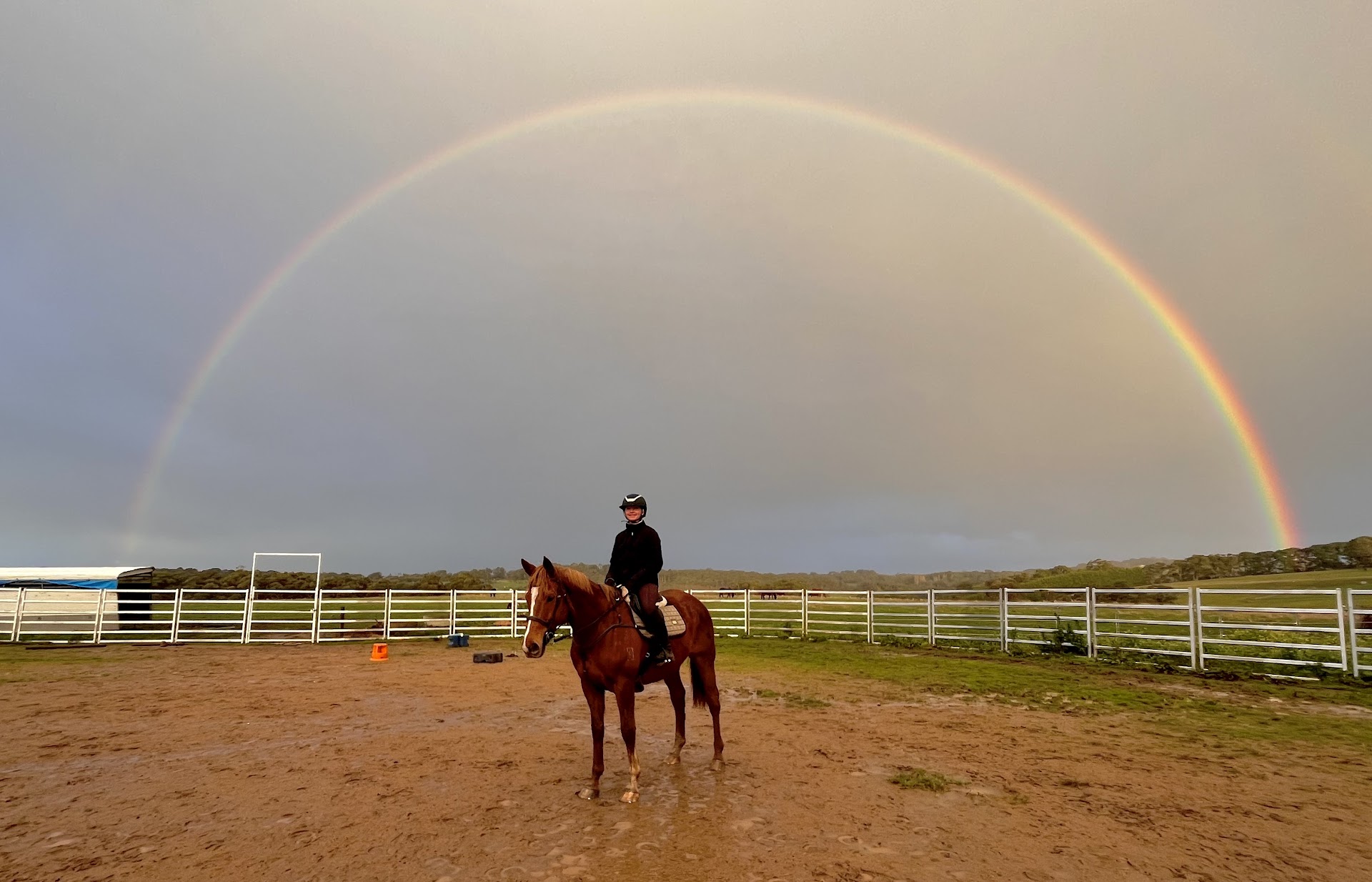 Arthurs Seat Trail Rides photo 2