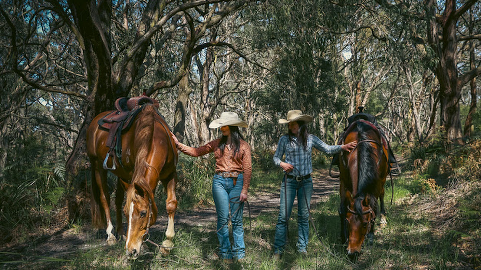 Arthurs Seat Trail Rides