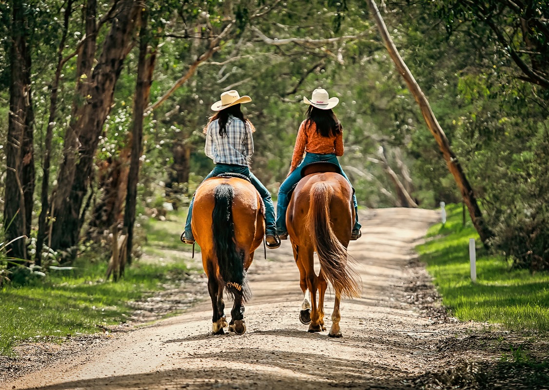 Arthurs Seat Trail Rides photo 3