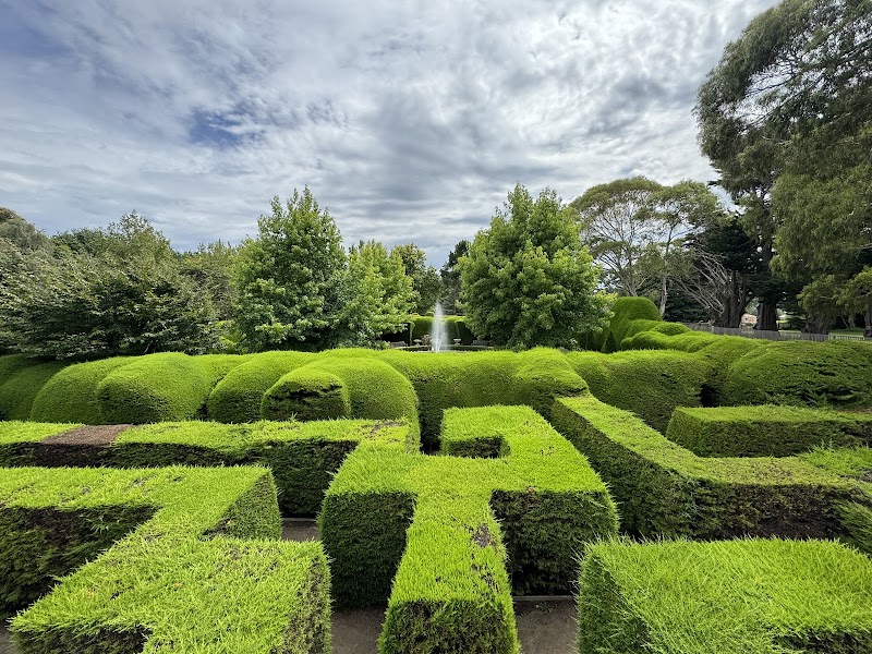 Ashcombe Maze and Lavender Gardens photo 2