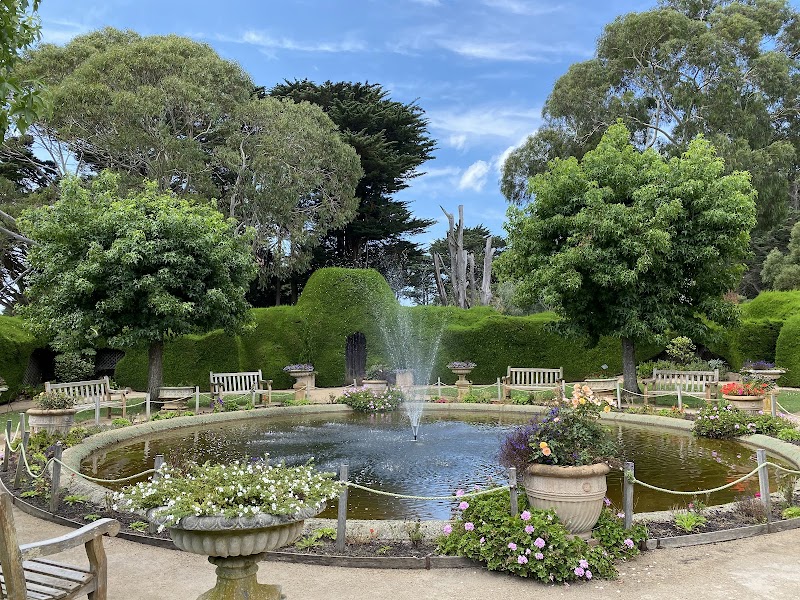 Ashcombe Maze and Lavender Gardens photo 3