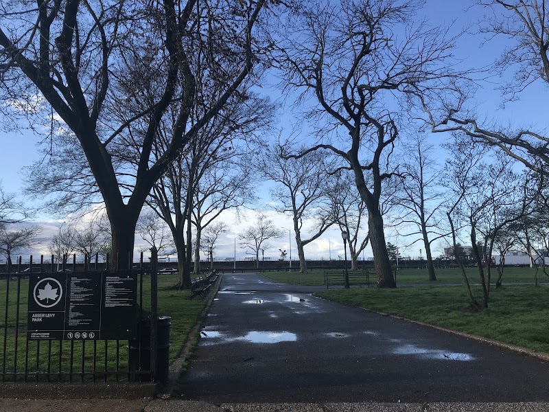 Asser Levy Park