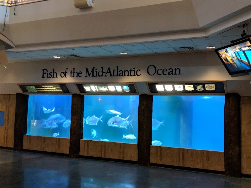 Atlantic City Aquarium