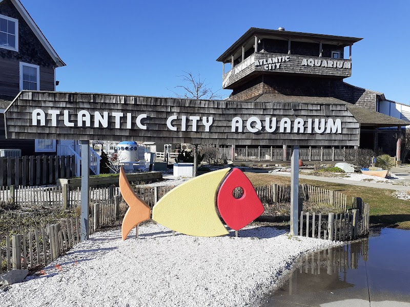 Atlantic City Aquarium photo 2