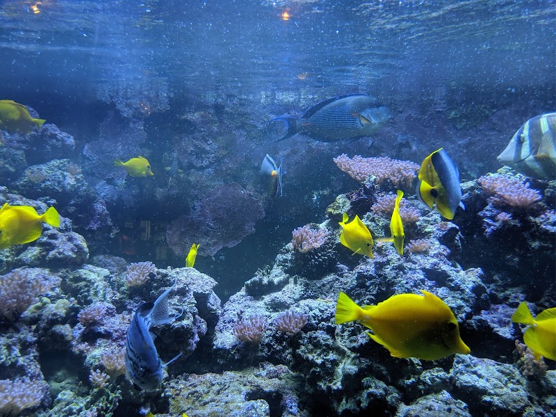 Atlantic City Aquarium photo 3