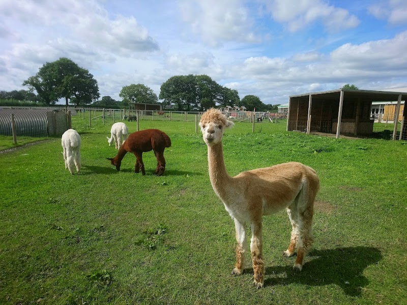 Attwell Farm Park photo 2