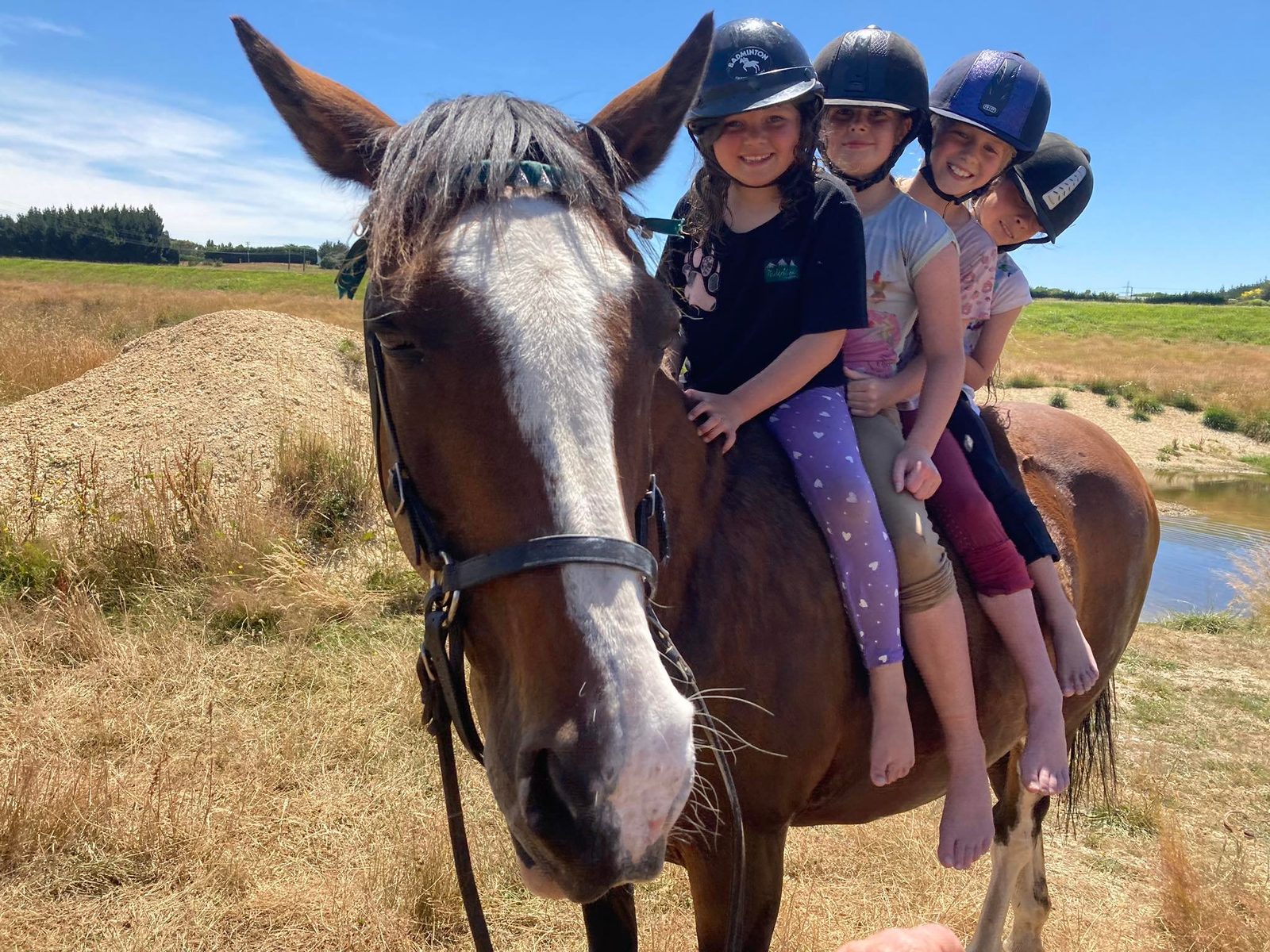 Auburndale Horse Riding