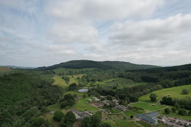Auchingarrich Wildlife Park photo 2