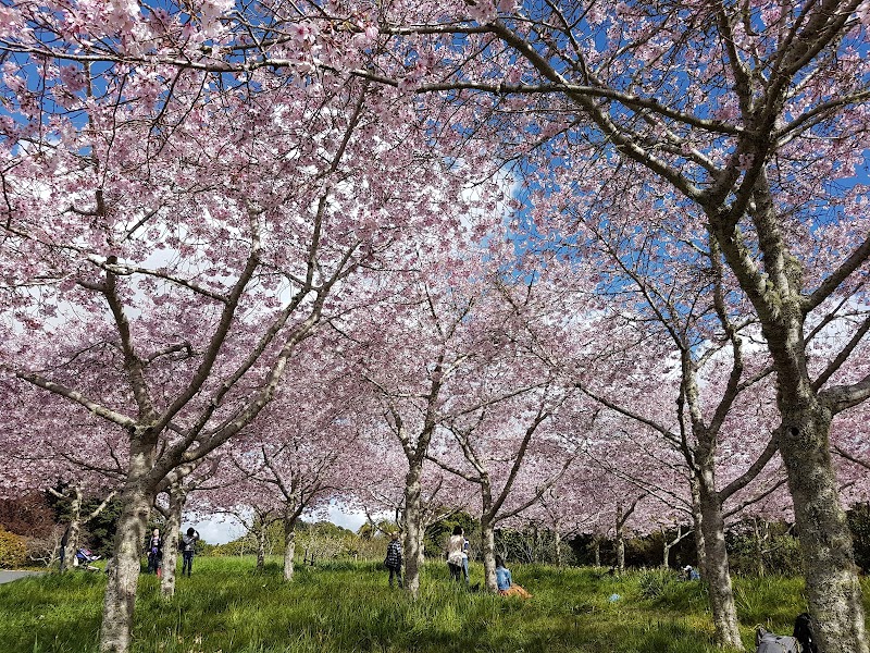 Auckland Botanic Gardens photo 2