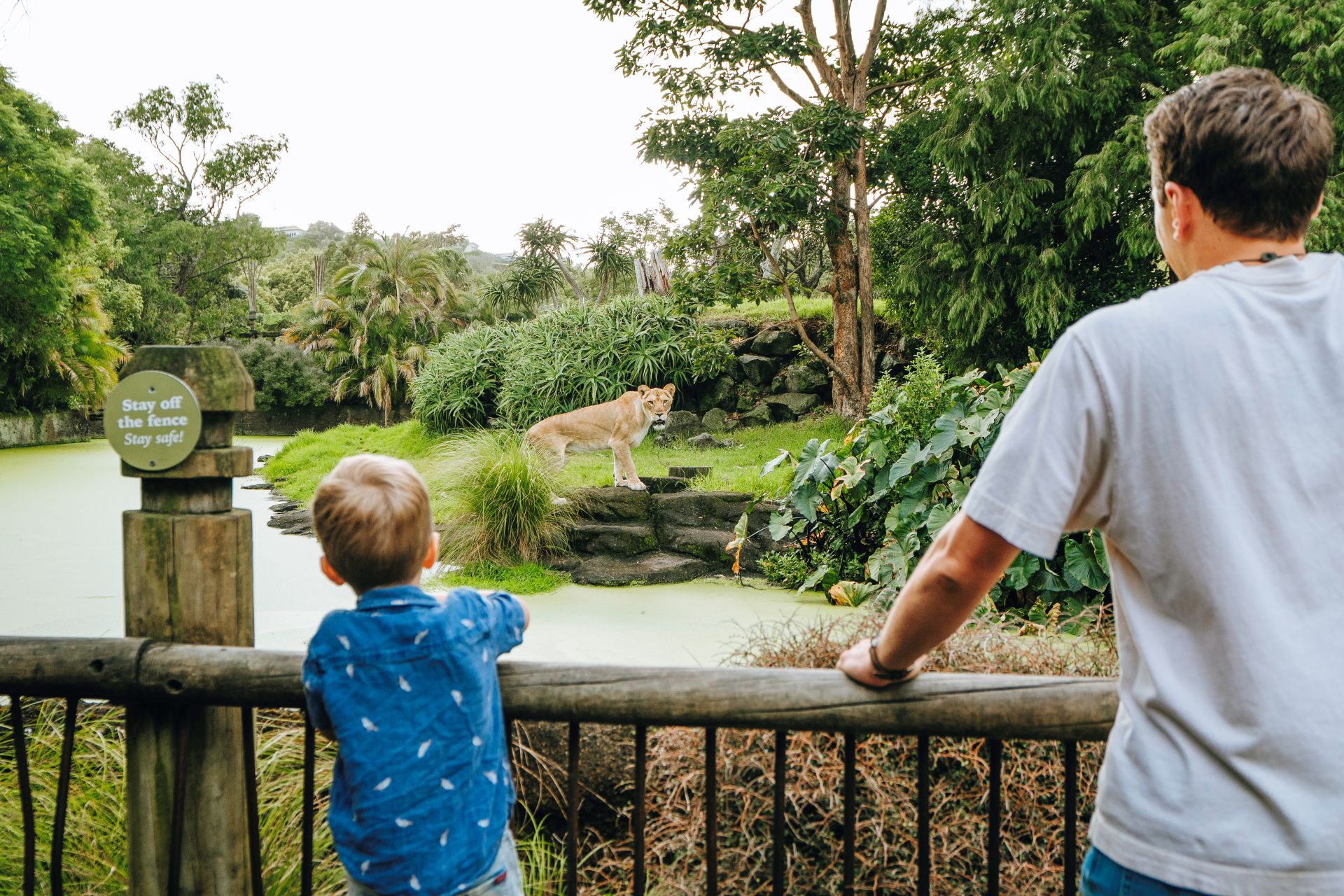 Auckland Zoo photo 3