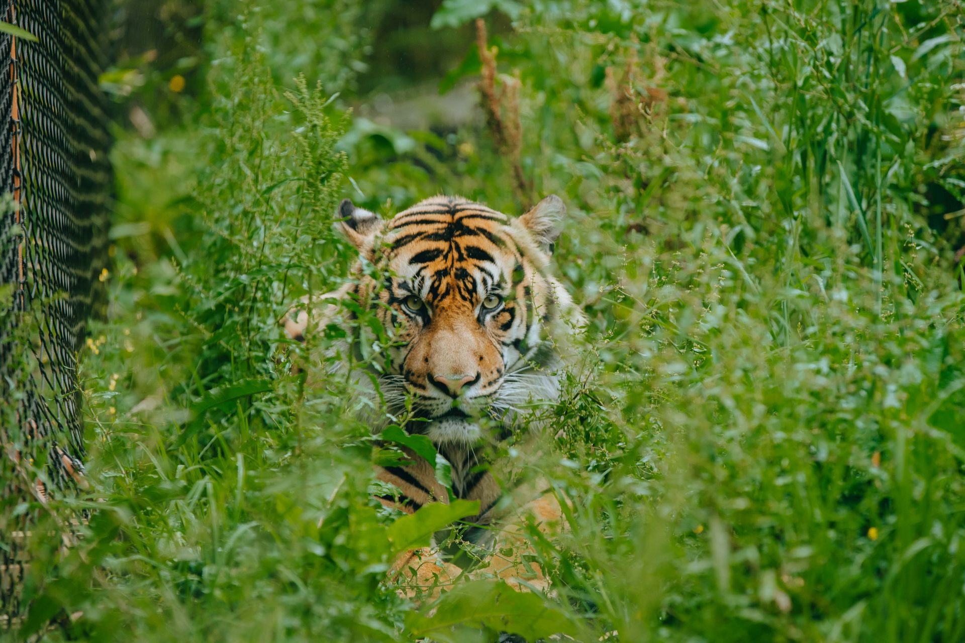 Auckland Zoo photo 5