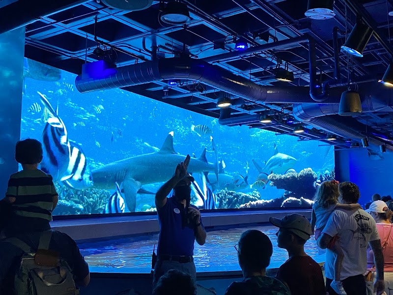 Audubon Aquarium