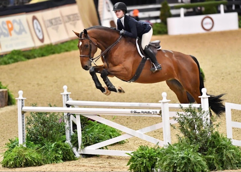 Aureliano Equestrian photo 2