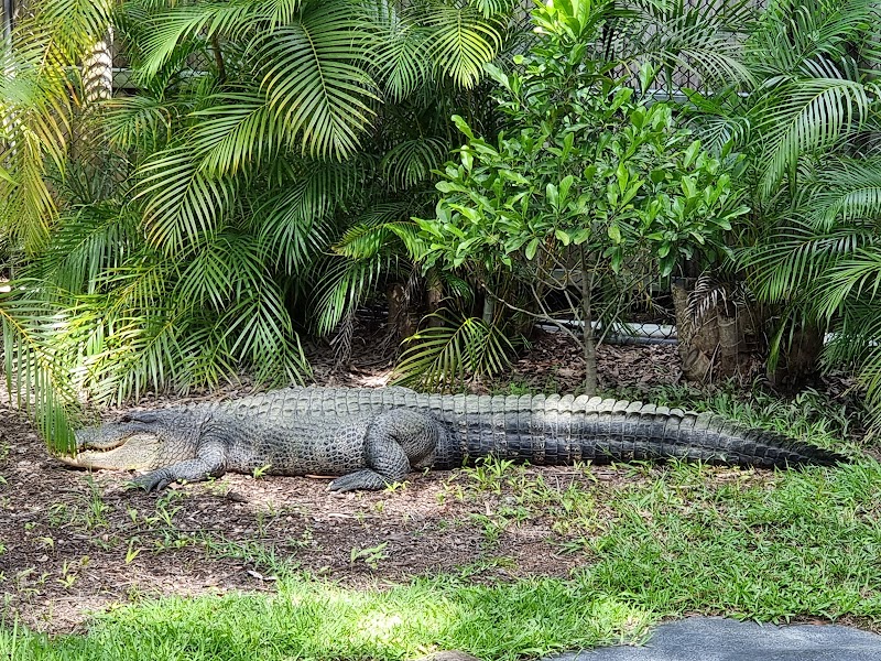 Australia Zoo photo 2