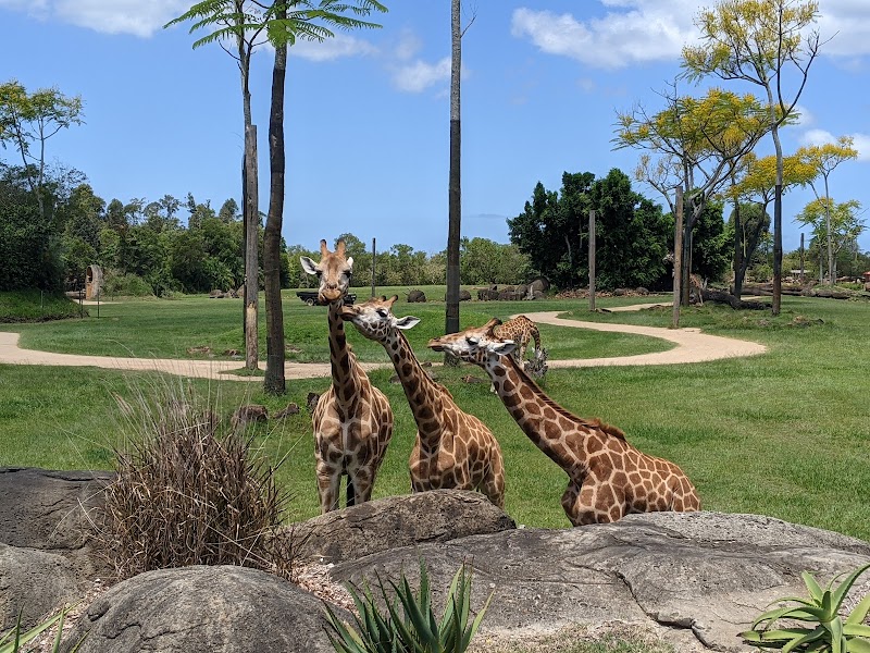 Australia Zoo photo 3