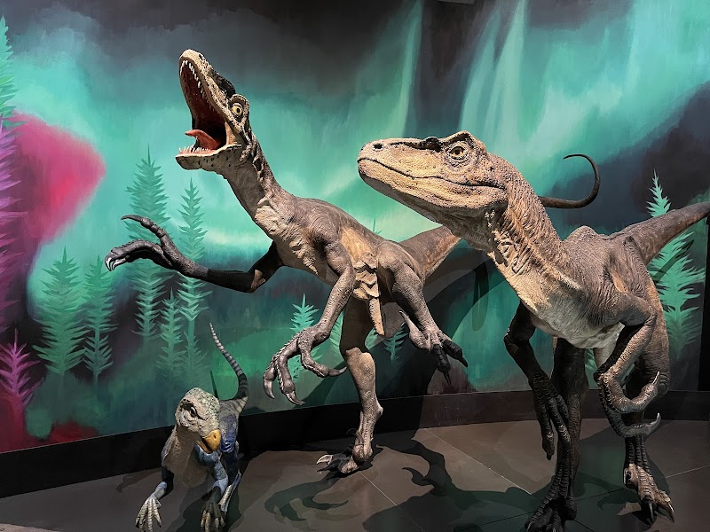 Australian Museum photo 2