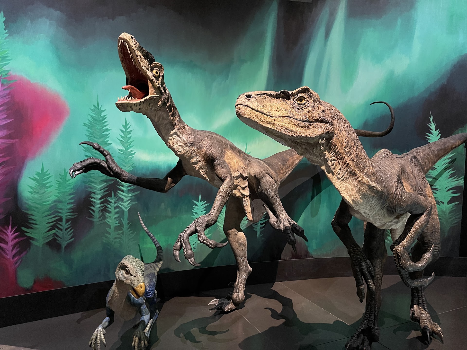 Australian Museum photo 2