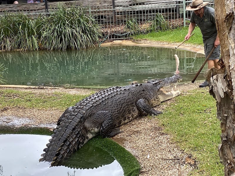 Australian Reptile Park photo 2